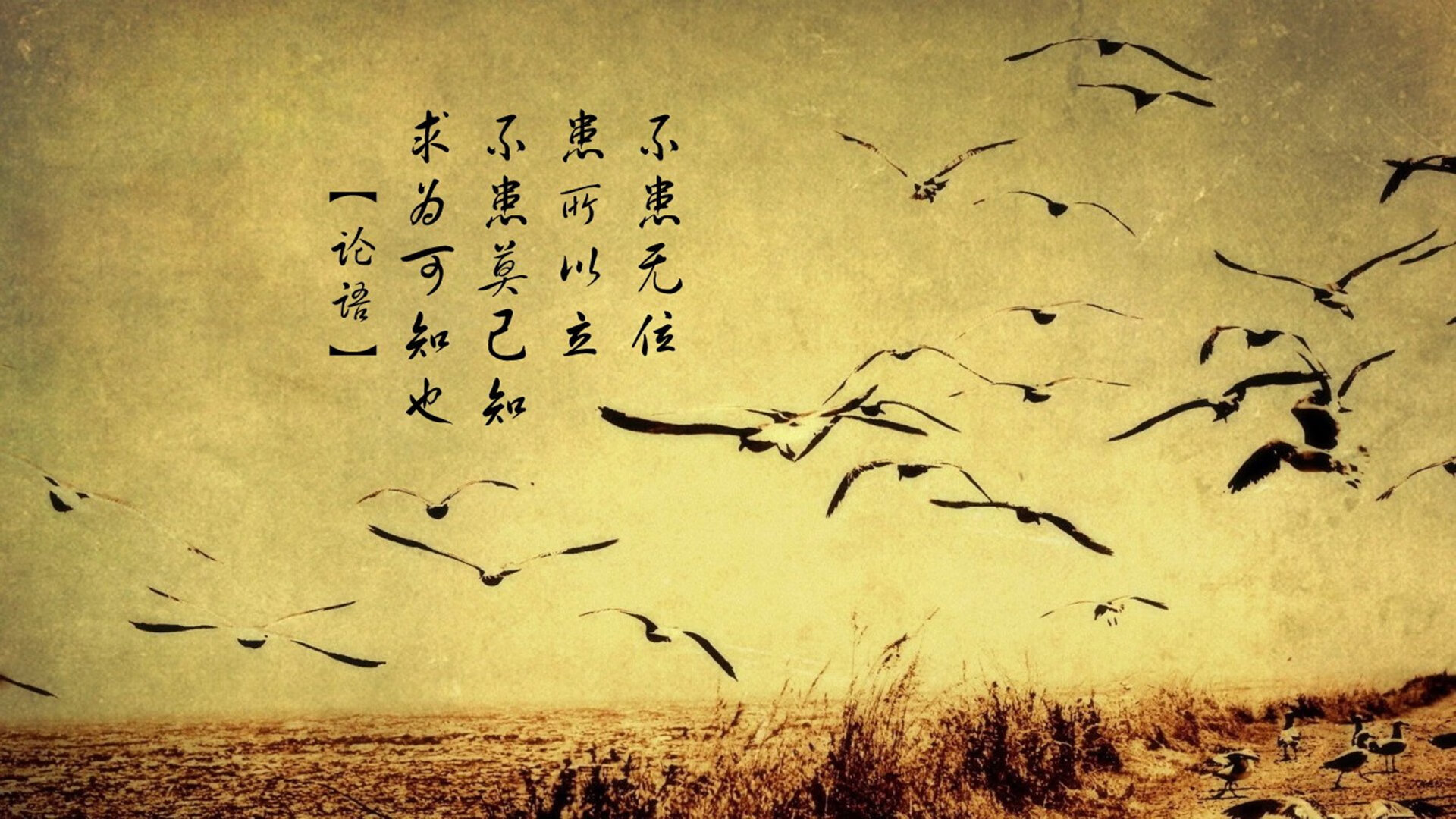 “未来之星:全国青少年足球冠军争霸赛圆满闭幕”,世界足球未来之星